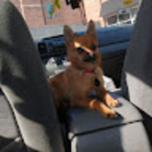 Meet your Posher, Larry